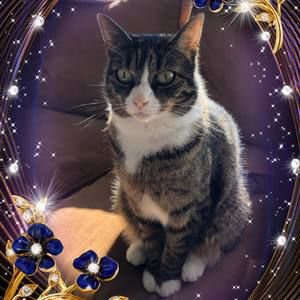 Meet your Posher, Pablo